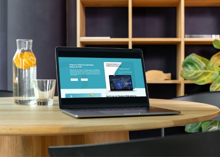 PATMO Paginas Web Economicas - Contactanos